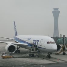 Ｂ787。今日は発火したり墜落しないでね