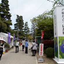 無量寿寺参道です。