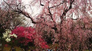 休日はとても混む