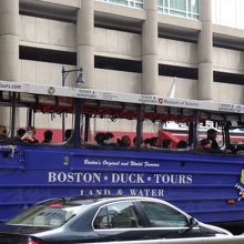 色もカラフルです。