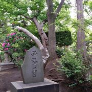 瀬谷八福神の西福寺(布袋尊さま)に行ってみた！