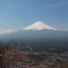天上山からの富士山