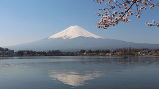 河口湖から愛でる富士山