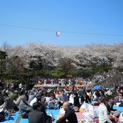 花見の名所