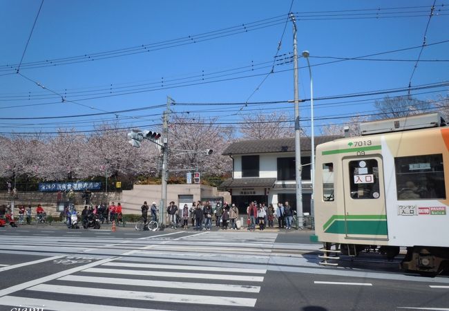 周りにお店なし