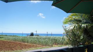 波照間の定番スイーツ