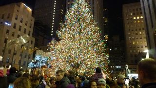 巨大なクリスマスツリー