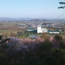 展望台からは市街地方面が一望できます