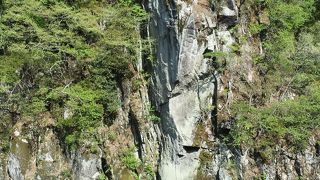 力強さを感じます