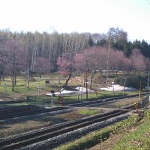 桜の開花前のJR塩狩駅付近の様子