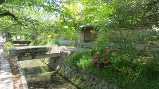 新緑の哲学の道。