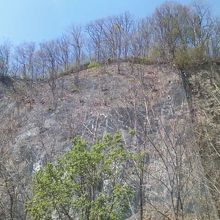 サイクリングロード付近から見た崖側の様子