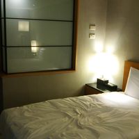 バスルームは客室側から見ると磨り硝子。