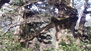 微笑ましい光景