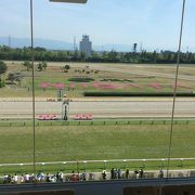 春競馬 最大のイベント