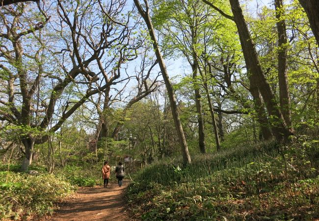 善光寺自然公園 クチコミ アクセス 営業時間 伊達 フォートラベル 善光寺自然公園 クチコミ アクセス 営業時間 伊達 フォートラベル