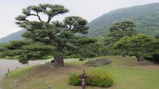 山の一部に溶け込んだ庭園