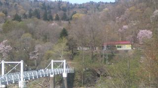 休日は非常に混み合うエリアです