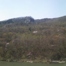 桜の木々が川沿いに点在する感じです