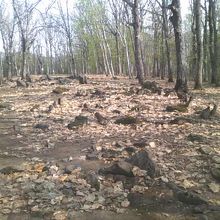 メインエリアの様子