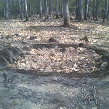 墓跡もコンクリ補修で内部が見えるように整備されていました