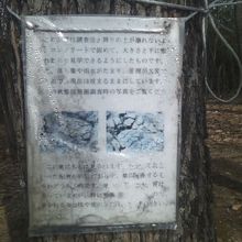 墳墓の解説も風雪に晒された侘び寂びが感じられます