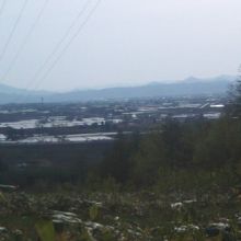 付近からの景観（南側）