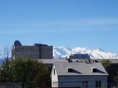 さくら ゲスト ハウス 写真