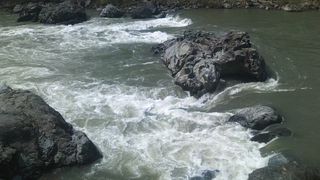 春の桜もまた味わいがありました