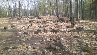 なかなか侘び寂びが感じられる、素敵なストーンサークルでした