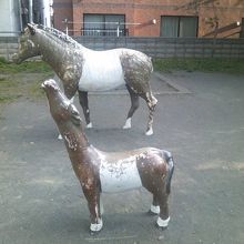 公園の代名詞ともいえる、二頭のポニーさんです