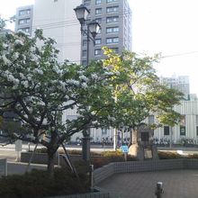 すぐ隣に有島氏の碑も建っています（背後は北12条駅）