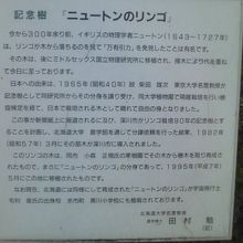 解説はこちらで。