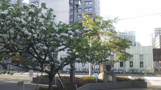 開花の時期が特におススメです！