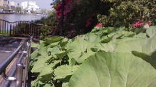 列車の折り継ぎ時間を利用して