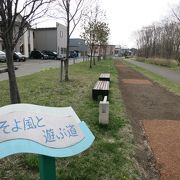 近所の人の散歩道