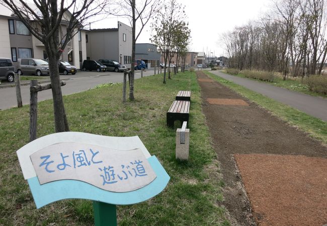 近所の人の散歩道