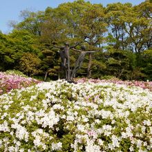 公園入口、中央図書館前のツツジとモニュメント。