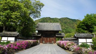 山口県庁の敷地の一角