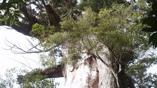 白谷雲水峡にあります