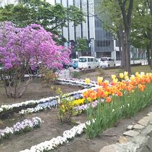 近くにはお花も咲き誇っていて、平時は癒しスポットでもあります