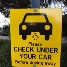 施設の駐車場には、ペンギンチェックの注意が！