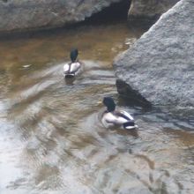 ゆったりとした時間が流れています