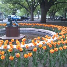 像とチューリップのコラボの様子