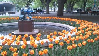 被写体として人気抜群の像です