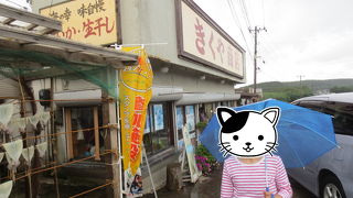 猫と犬に囲まれイカ焼きを