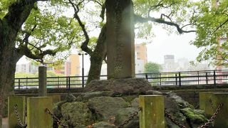 幼少期を暮らした場所