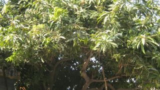 16世紀から17世紀のヒンズー教の寺院です。