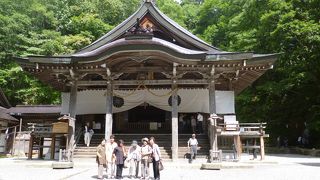 豪華でダイナミックです