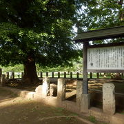 国分寺と尼寺の２箇所あり